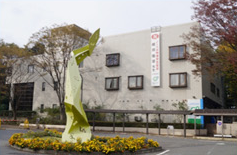 埼玉大学